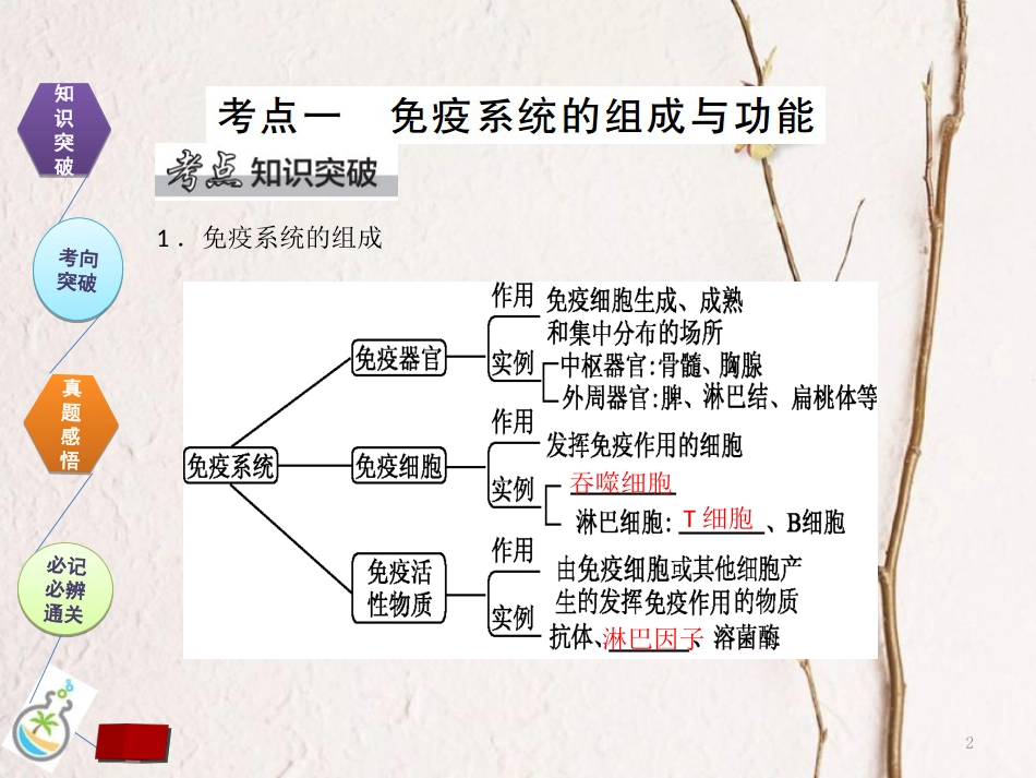 （全国卷 地区专用）高考生物总复习 第八单元 动物和人体生命活动的调节 第4讲 免疫调节课件[共44页]_第2页