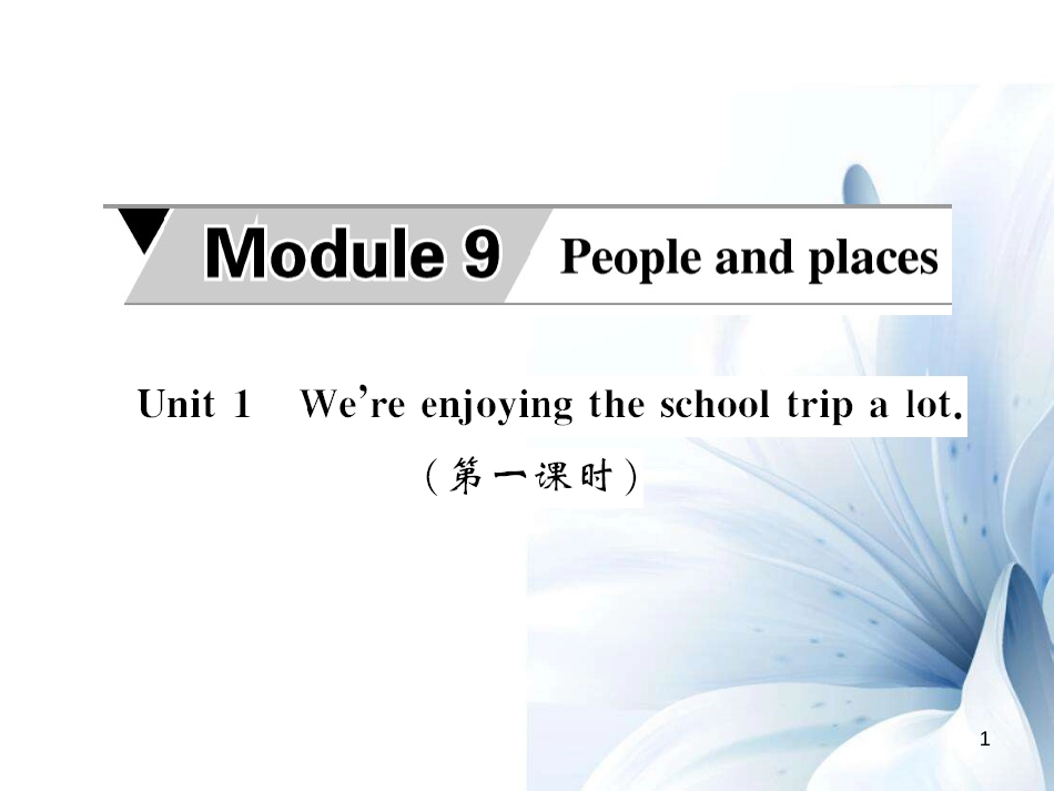 七年级英语上册 Module 9 People and places Unit 1 We’re enjoying the school trip a lot（第1课时）课件 （新版）外研版[共4页]_第1页