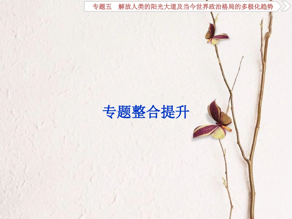 （全国通用）高考历史一轮复习 专题五 解放人类的阳光大道及当今世界政治格局的多极化趋势专题整合提升课件_第1页