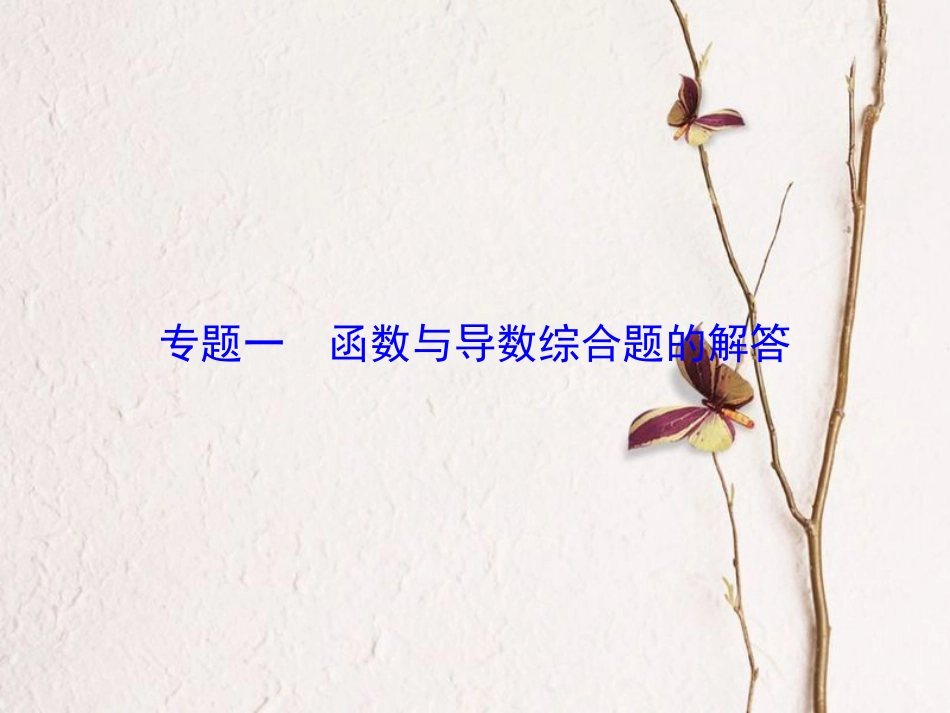 高考数学大一轮复习 专题1 函数与导数综合题的解答课件 理 北师大版_第1页