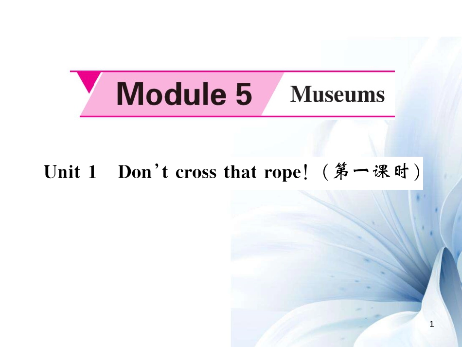 九年级英语上册 Module 5 Museums Unit 1 Don’t cross that rope（第1课时）课件 （新版）外研版[共5页]_第1页