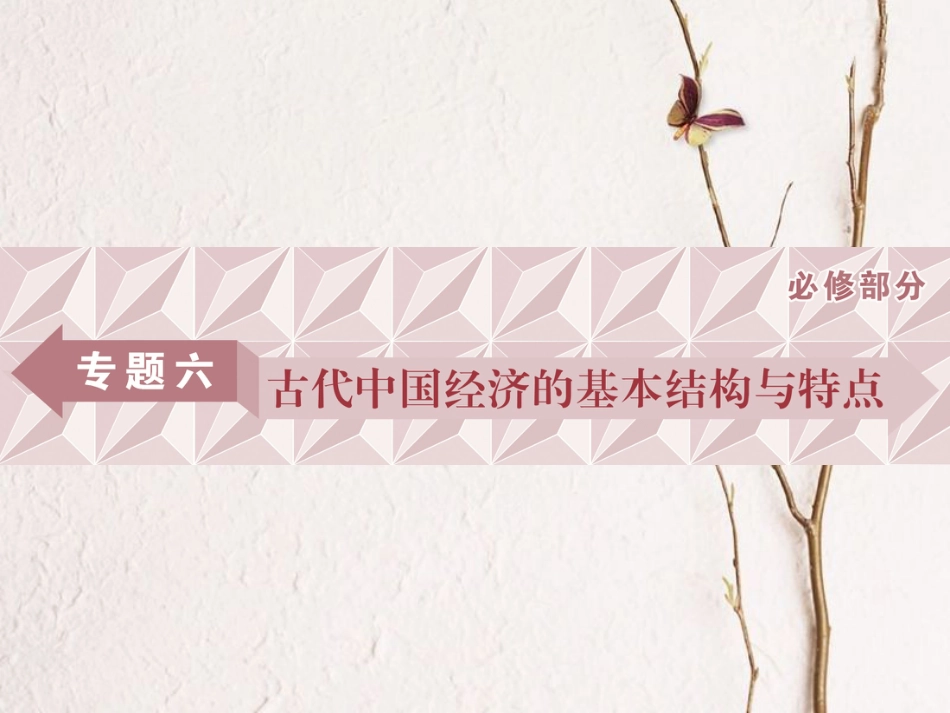 （全国通用）高考历史一轮复习 专题六 古代中国经济的基本结构与特点 第19讲 古代中国的农业和手工业经济课件_第1页