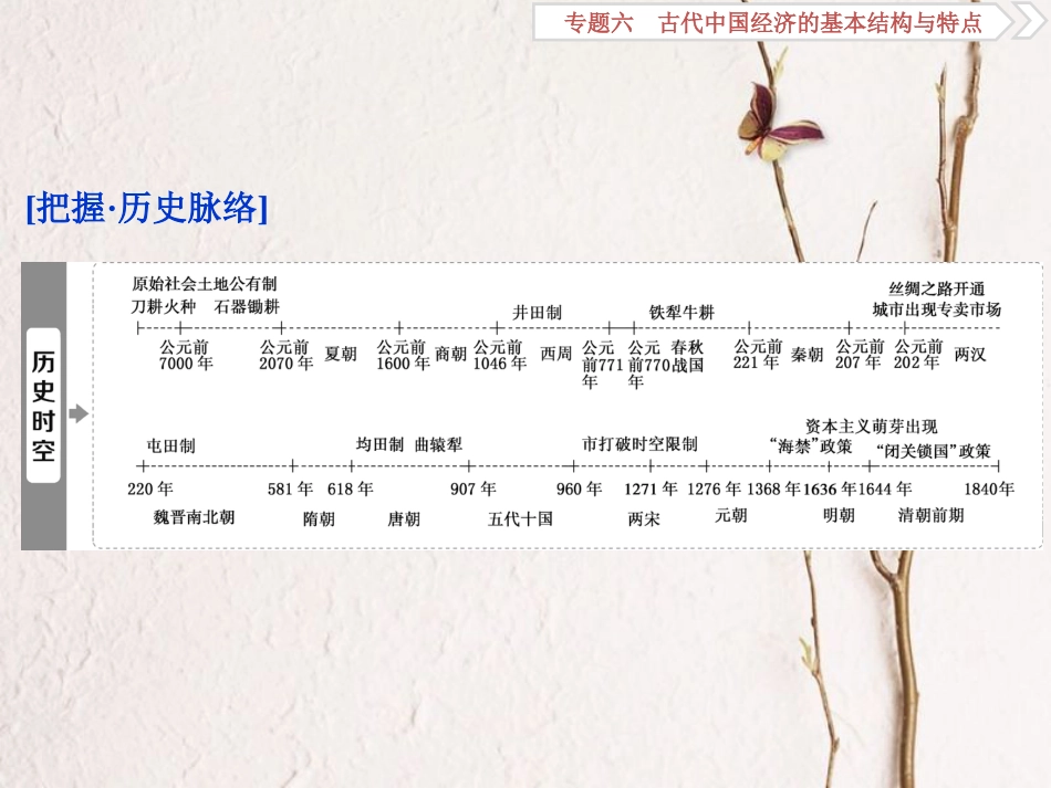 （全国通用）高考历史一轮复习 专题六 古代中国经济的基本结构与特点 第19讲 古代中国的农业和手工业经济课件_第2页