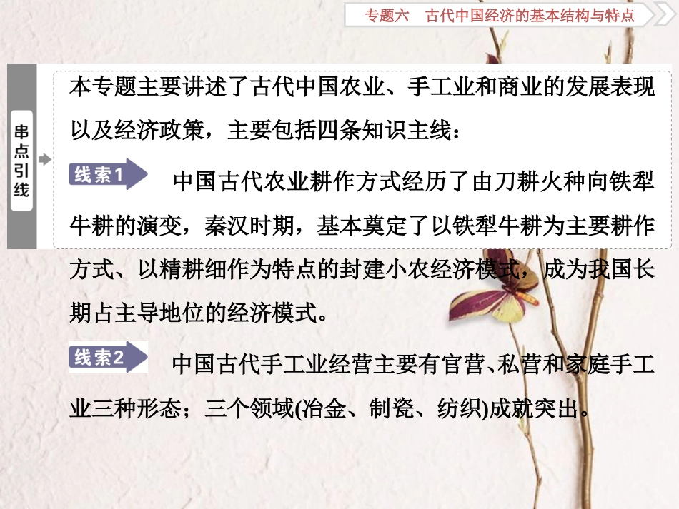 （全国通用）高考历史一轮复习 专题六 古代中国经济的基本结构与特点 第19讲 古代中国的农业和手工业经济课件_第3页
