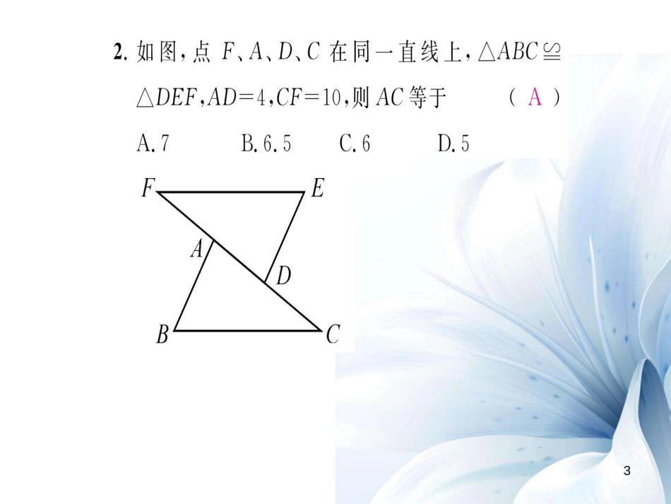 八年级数学上册 专题三 全等三角形的性质与判定课件 （新版）湘教版[共22页]_第3页