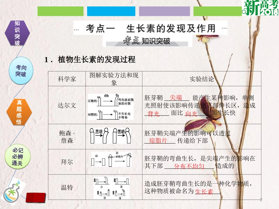 （全国卷 地区专用）高考生物总复习 第九单元 植物的激素调节课件[共45页]_第2页