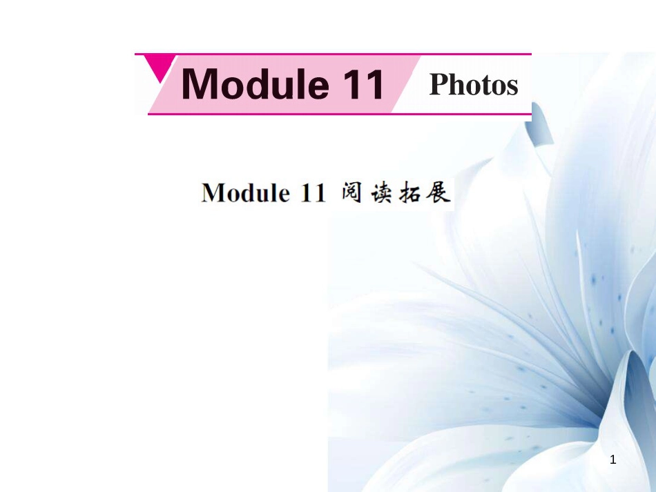 九年级英语上册 Module 11 Photos阅读拓展课件 （新版）外研版[共7页]_第1页