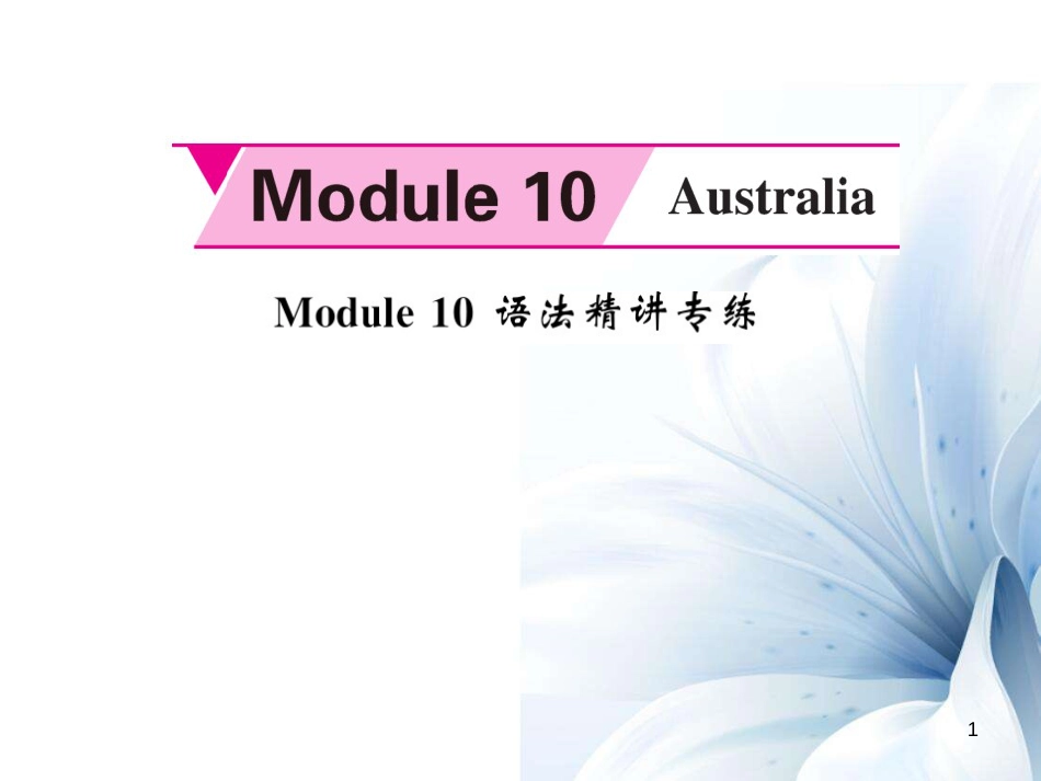 九年级英语上册 Module 10 Australia语法精讲专练课件 （新版）外研版[共5页]_第1页