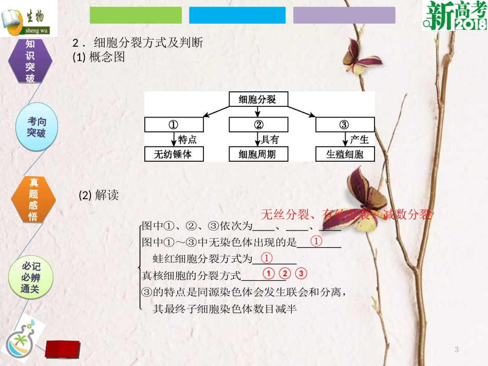 （全国卷 地区专用）高考生物总复习 第四单元 细胞的生命历程 第1讲 细胞的增值课件[共33页]_第3页