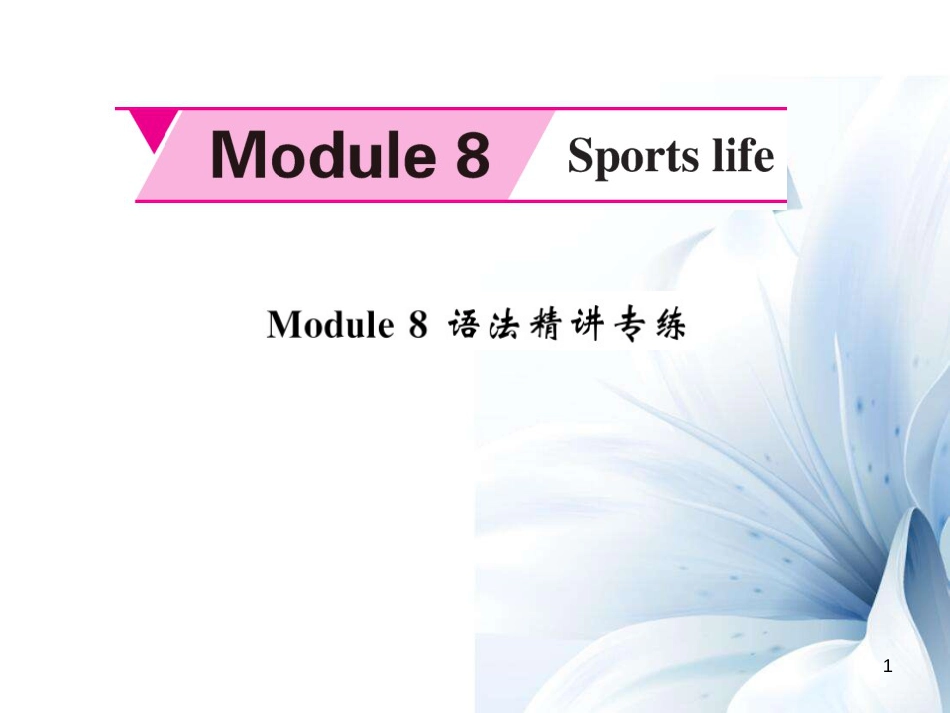九年级英语上册 Module 8 Sporting life语法精讲专练课件 （新版）外研版[共6页]_第1页