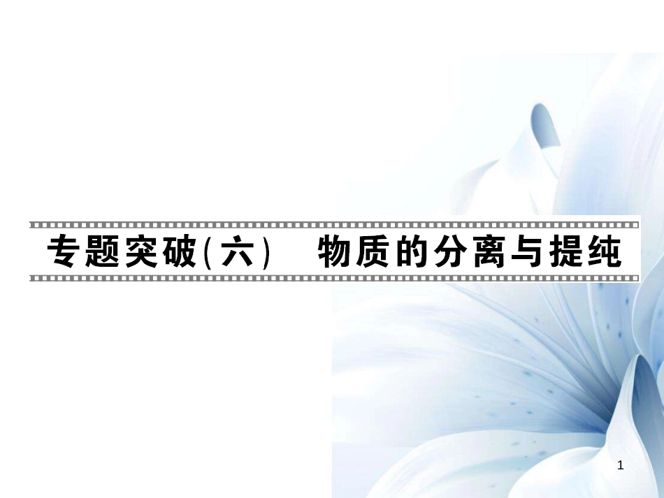 九年级化学下册 第11单元 盐 化肥 专题突破（六）物质的分离与提纯课件 （新版）新人教版[15页]_第1页