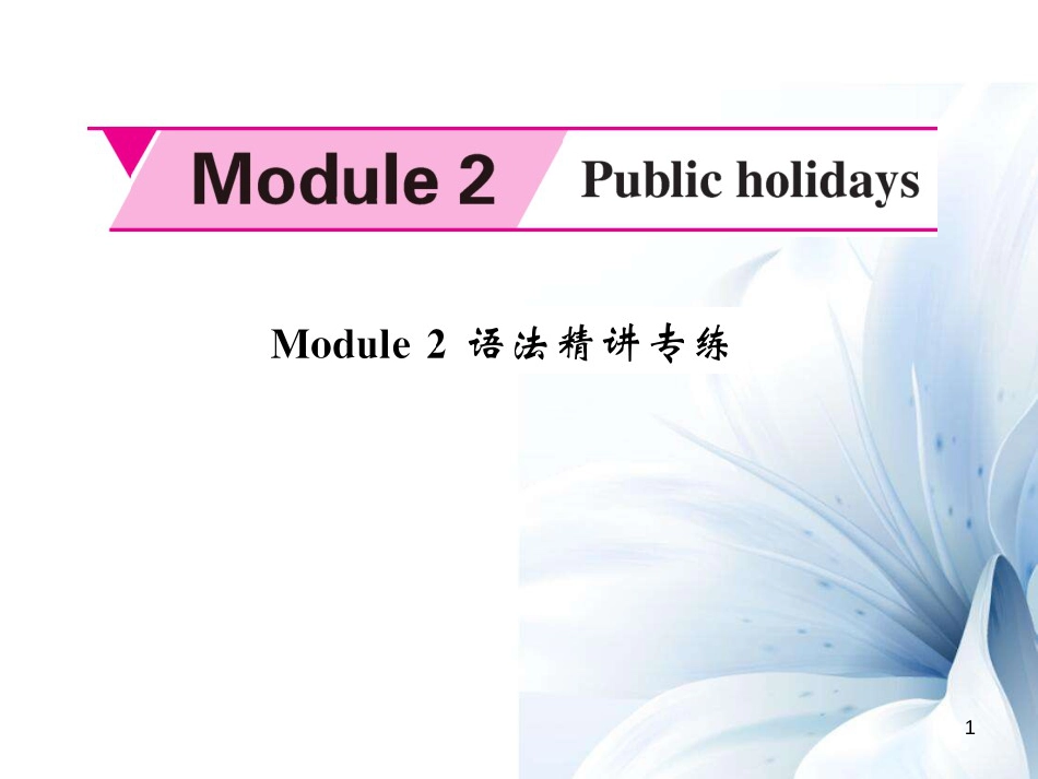 九年级英语上册 Module 2 Public holidays语法精讲专练课件 （新版）外研版[共5页]_第1页