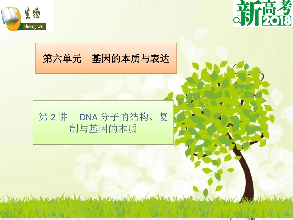 （全国卷 地区专用）高考生物总复习 第六单元 基因的本质与表达 第2讲 DNA分子的结构、复制与基因的本质课件[共28页]_第1页