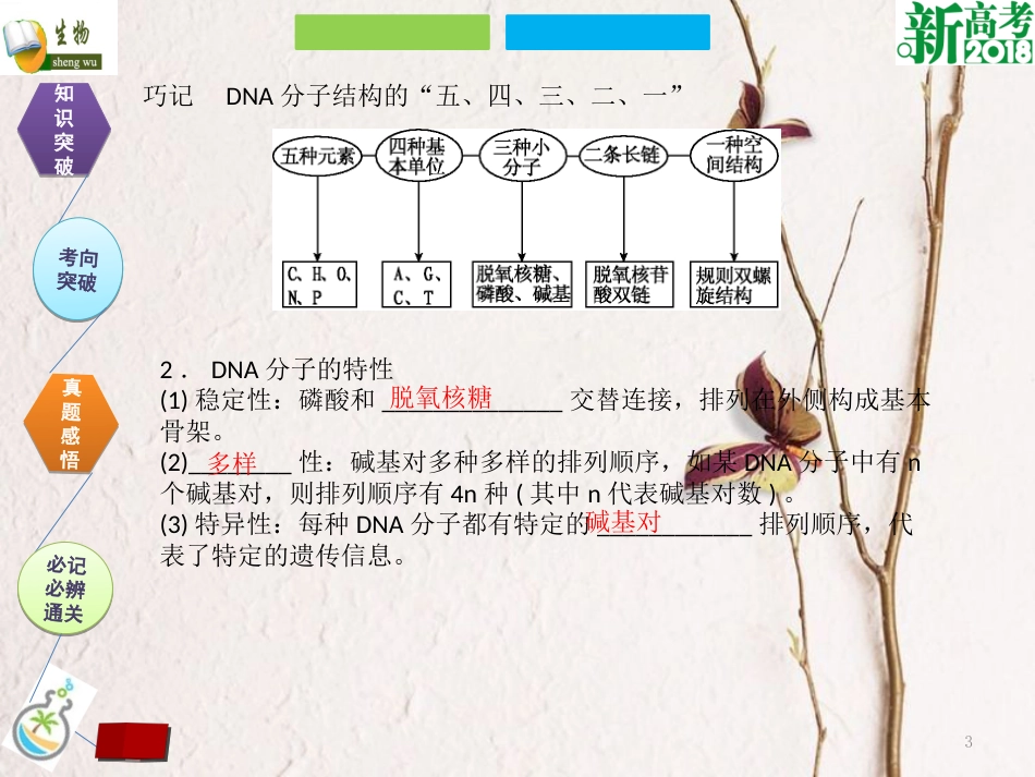 （全国卷 地区专用）高考生物总复习 第六单元 基因的本质与表达 第2讲 DNA分子的结构、复制与基因的本质课件[共28页]_第3页