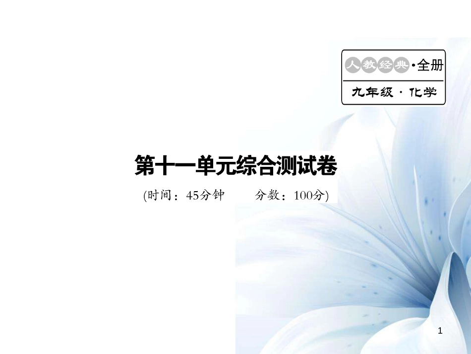 九年级化学下册 第11单元 盐 化肥综合测试卷课件 （新版）新人教版[16页]_第1页