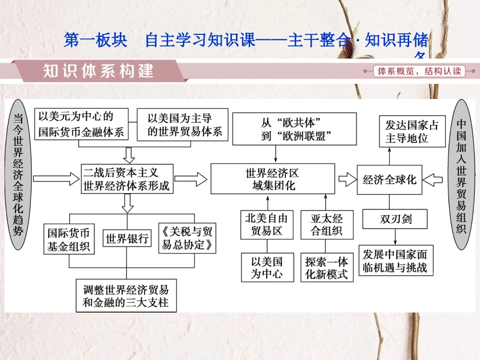 （全国通用）高考历史一轮复习 专题十一 当今世界经济的全球化趋势专题整合提升课件_第2页