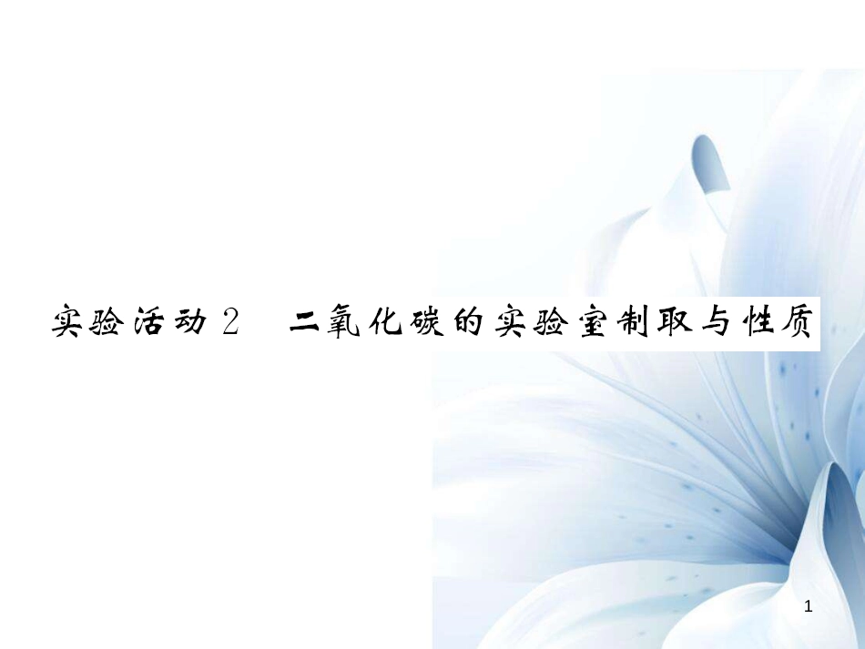九年级化学上册 第6单元 碳和碳的氧化物 实验活动2 二氧化碳的实验室制取与性质课件 （新版）新人教版[11页]_第1页