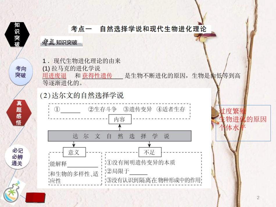 （全国卷 地区专用）高考生物总复习 第七单元 生物的变异、育种和进化 第3讲  现代生物进化理论课件[共28页]_第2页