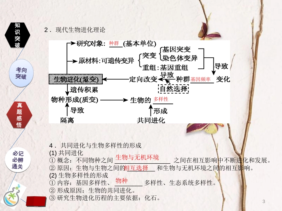 （全国卷 地区专用）高考生物总复习 第七单元 生物的变异、育种和进化 第3讲  现代生物进化理论课件[共28页]_第3页