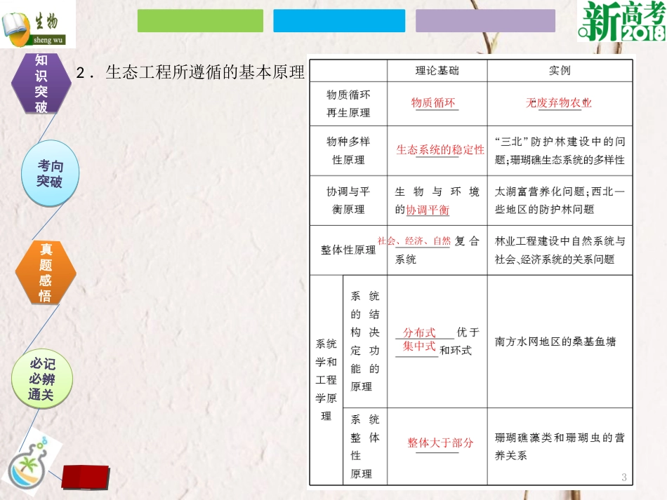 （全国卷 地区专用）高考生物总复习 第十三单元 现代生物科技专题 第4讲 生态工程课件[共17页]_第3页