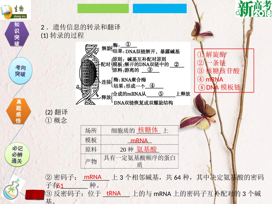 （全国卷 地区专用）高考生物总复习 第六单元 基因的本质与表达 第3讲 基因的表达课件[共32页]_第3页