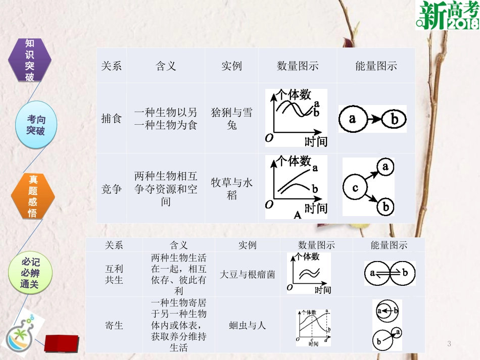 （全国卷 地区专用）高考生物总复习 第十单元 种群和群落 第2讲 群落的结构和演替课件[共28页]_第3页