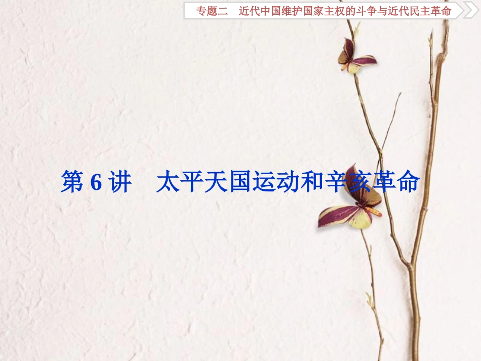 （全国通用）高考历史一轮复习 专题二 近代中国维护国家主权的斗争与近代民主革命 第6讲 太平天国运动和辛亥革命课件_第1页