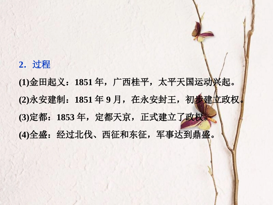 （全国通用）高考历史一轮复习 专题二 近代中国维护国家主权的斗争与近代民主革命 第6讲 太平天国运动和辛亥革命课件_第3页