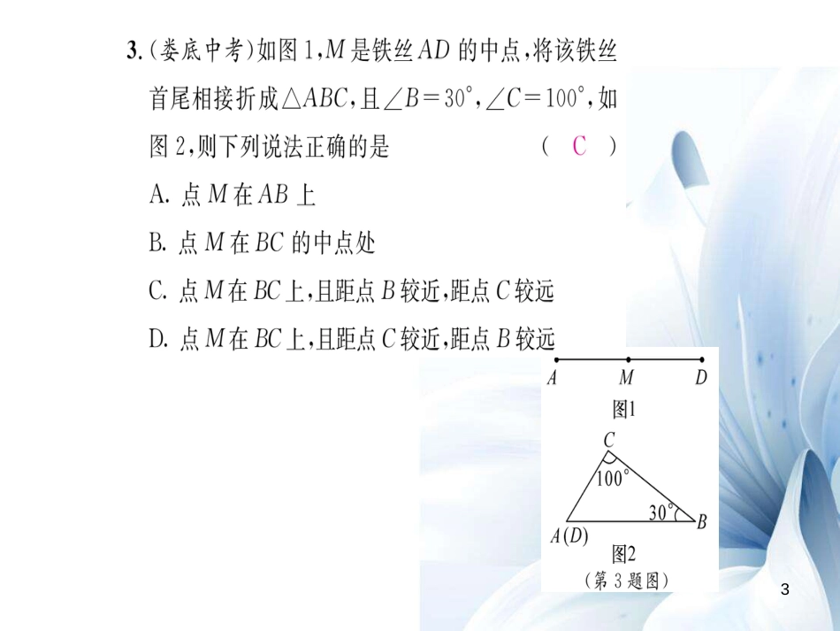 八年级数学上册 第十一章 三角形重点分类突破课件 （新版）新人教版[共19页]_第3页