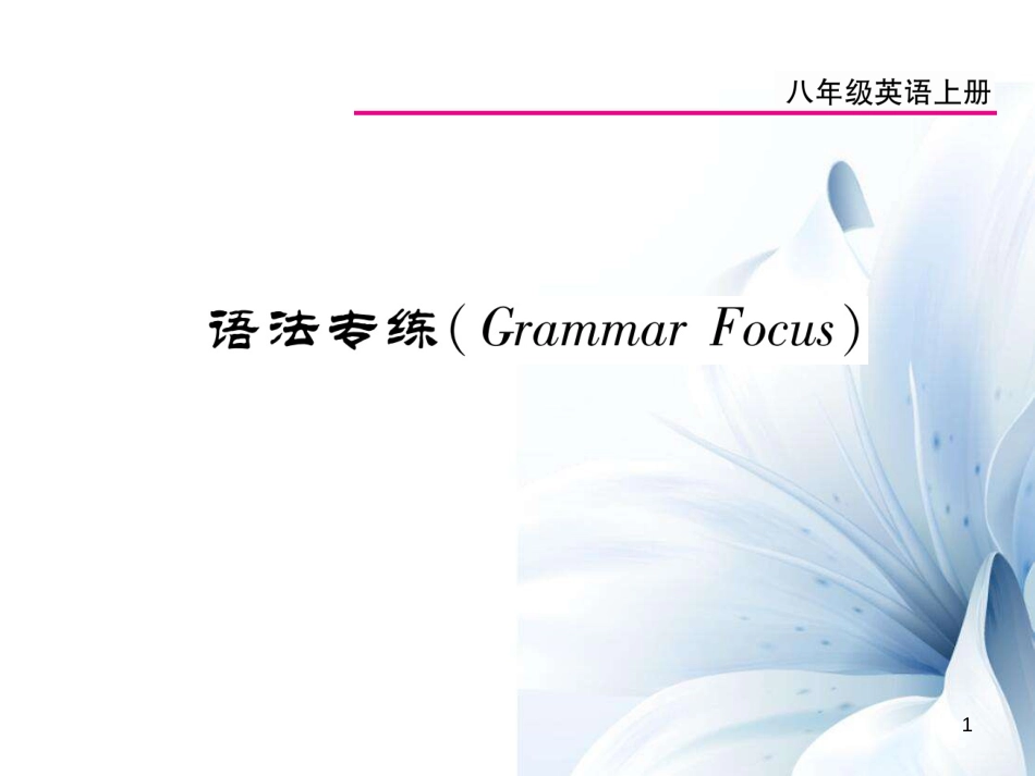 八年级英语上册 Unit 2 How often do you exercise语法专练课件 （新版）人教新目标版[11页]_第1页