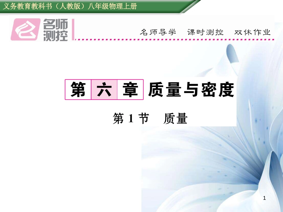 八年级物理上册 6.1 质量作业课件 （新版）新人教版[共17页]_第1页