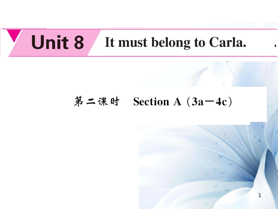 九年级英语全册 Unit 8 It must be belong to Carla（第2课时）课件 （新版）人教新目标版[共5页]_第1页