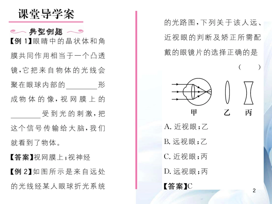 八年级物理上册 5.4 眼睛和眼镜作业课件 （新版）新人教版[共17页]_第2页