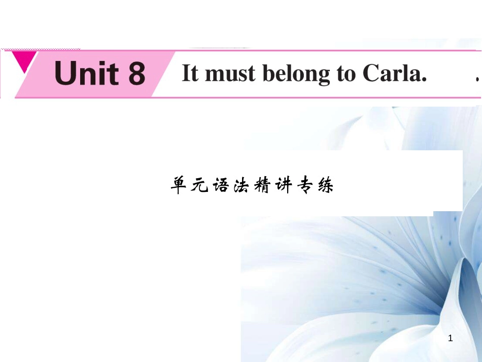 九年级英语全册 Unit 8 It must be belong to Carla语法精讲专练课件 （新版）人教新目标版[共6页]_第1页