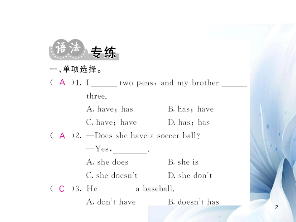 七年级英语上册 Unit 5 Do you have a soccer ball语法精讲专练课件 （新版）人教新目标版[共5页]_第2页
