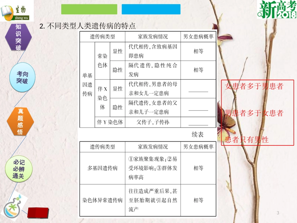 （全国卷 地区专用）高考生物总复习 第五单元 遗传定律和伴性遗传 第4讲 人类遗传病课件_第3页