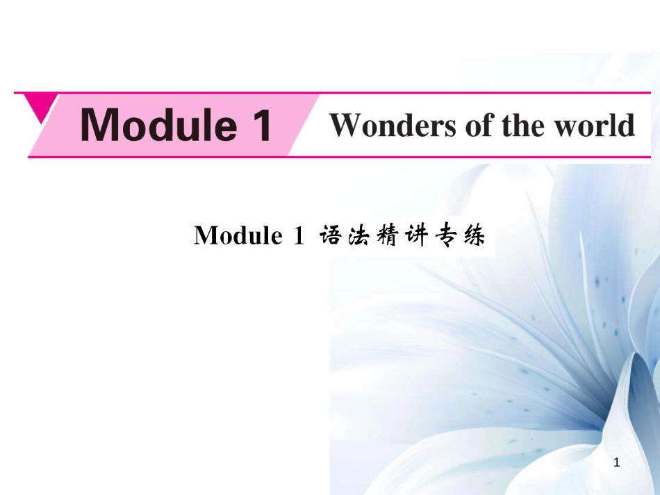 九年级英语上册 Module 1 Wonders of the world语法精讲专练课件 （新版）外研版[共5页]_第1页