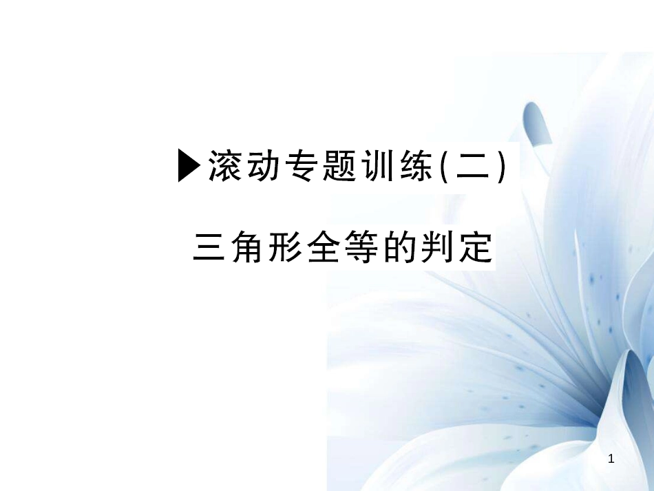 八年级数学上册 滚动专题训练二 三角形全等的判定课件 （新版）华东师大版[共13页]_第1页