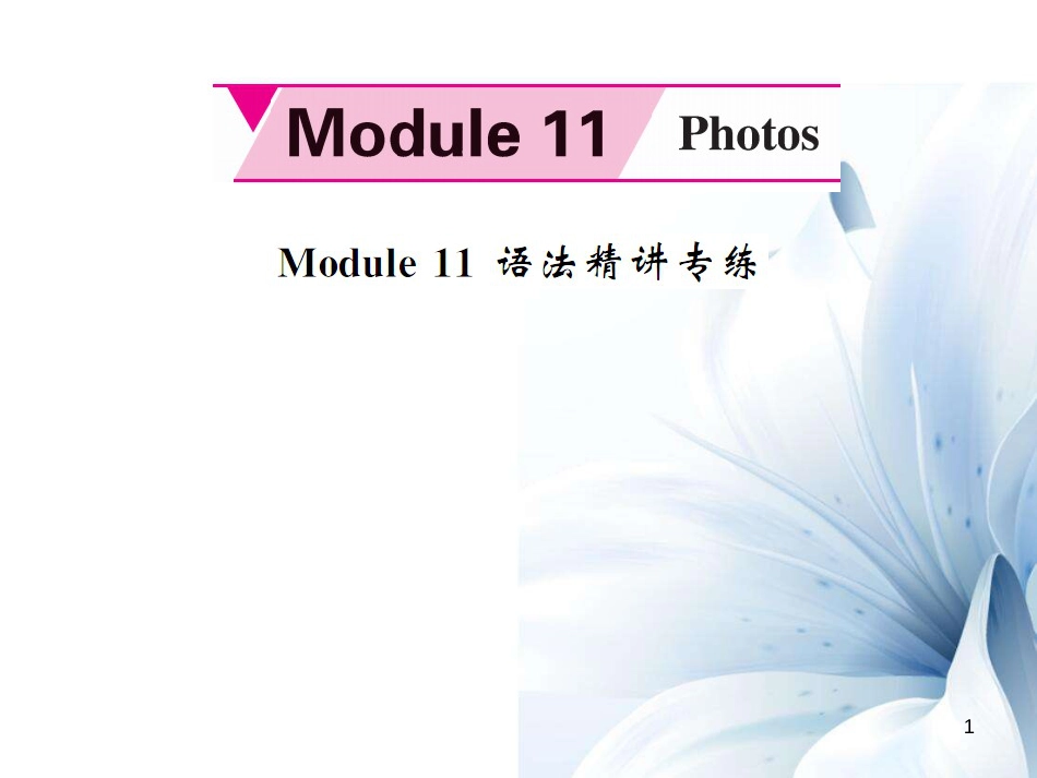 九年级英语上册 Module 11 Photos语法精讲专练课件 （新版）外研版[共5页]_第1页