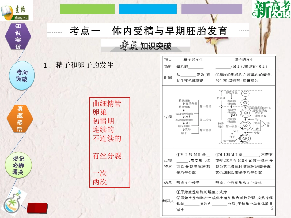 （全国卷 地区专用）高考生物总复习 第十三单元 现代生物科技专题 第3讲 胚胎工程及生物技术的安全性和伦理问题课件[共29页]_第2页