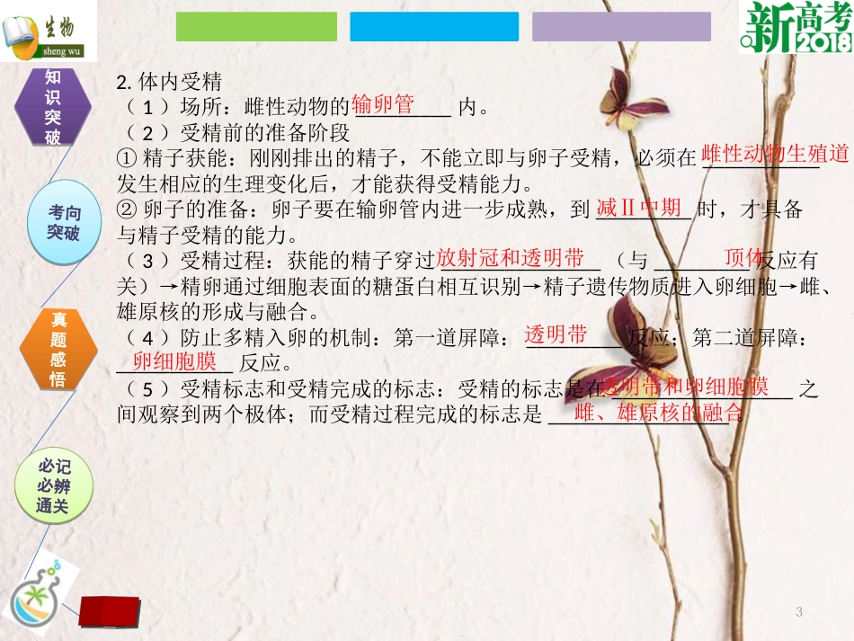 （全国卷 地区专用）高考生物总复习 第十三单元 现代生物科技专题 第3讲 胚胎工程及生物技术的安全性和伦理问题课件[共29页]_第3页