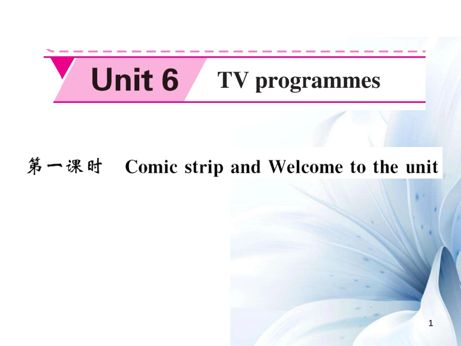 九年级英语上册 Unit 6 TV programmes（第1课时）课件 （新版）牛津版[共5页]_第1页