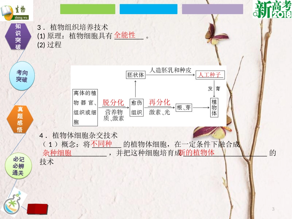 （全国卷 地区专用）高考生物总复习 第十三单元 现代生物科技专题 第2讲 细胞工程课件[共34页]_第3页