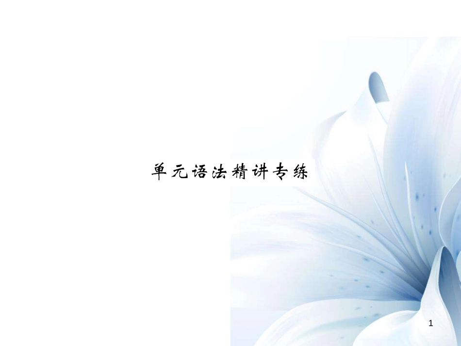 七年级英语上册 Unit 6 Do you like banana语法精讲专练课件 （新版）人教新目标版[共5页]_第1页