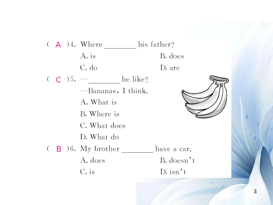 七年级英语上册 Unit 6 Do you like banana语法精讲专练课件 （新版）人教新目标版[共5页]_第3页