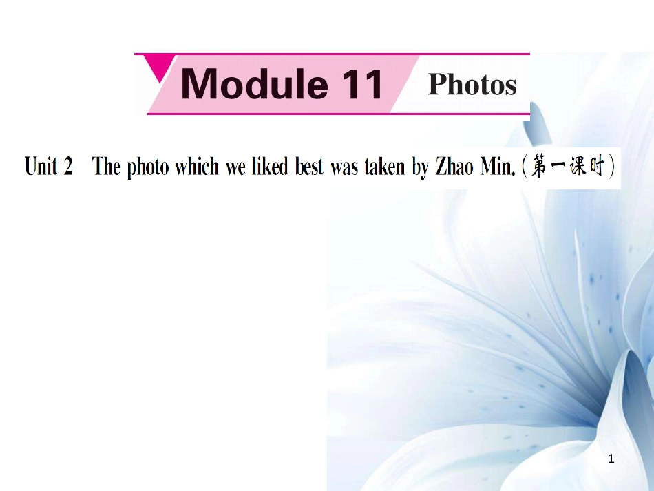 九年级英语上册 Module 11 Photos Unit 2 The photo which we liked best was taken by Zhao Min（第1课时）课件 （新版）外研版[共4页]_第1页