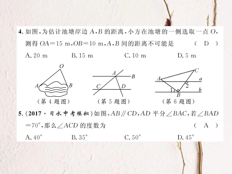 八年级数学上册 11 三角形达标测试卷课件 （新版）新人教版[共20页]_第3页