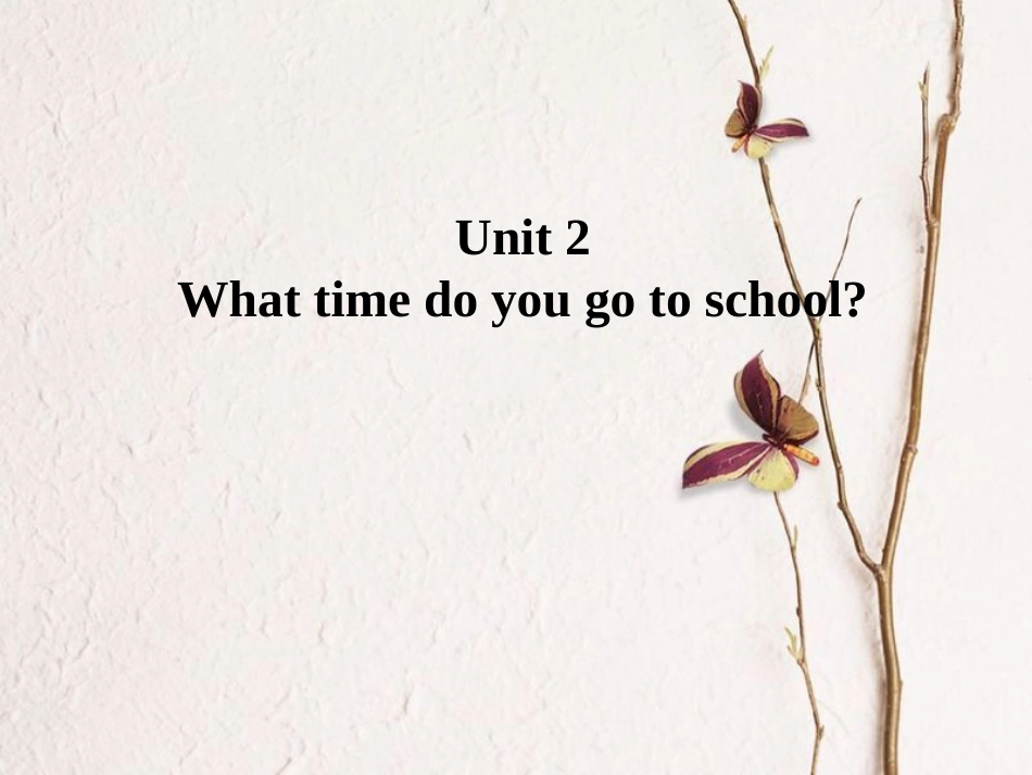 （水滴系列）七年级英语下册 Unit 2 What time do you go to school（第5课时）Section B（2a-2c）课件 （新）人教新目标_第1页