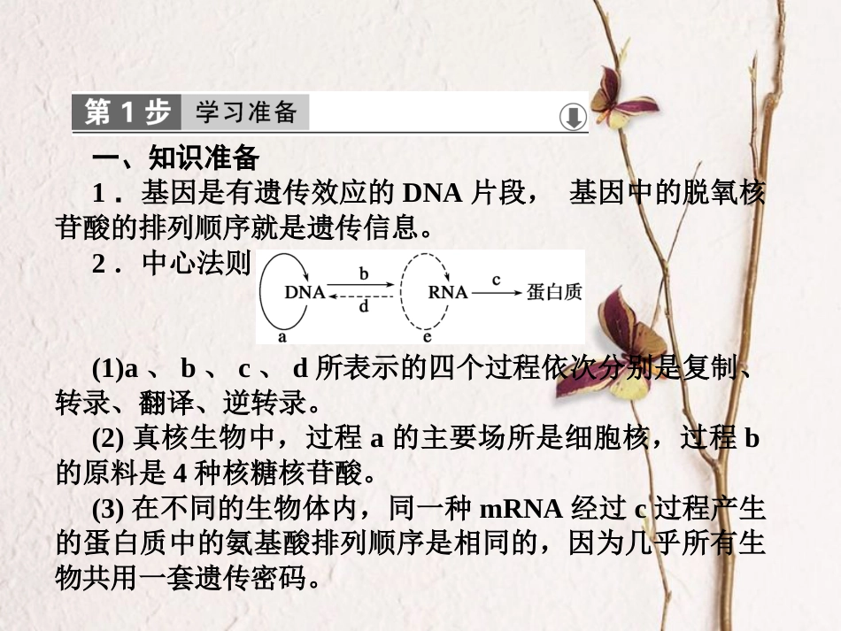 高中生物 第六章 从杂交育种到基因工程 第2节 基因工程及其应用课件 新人教版必修2[共34页]_第2页