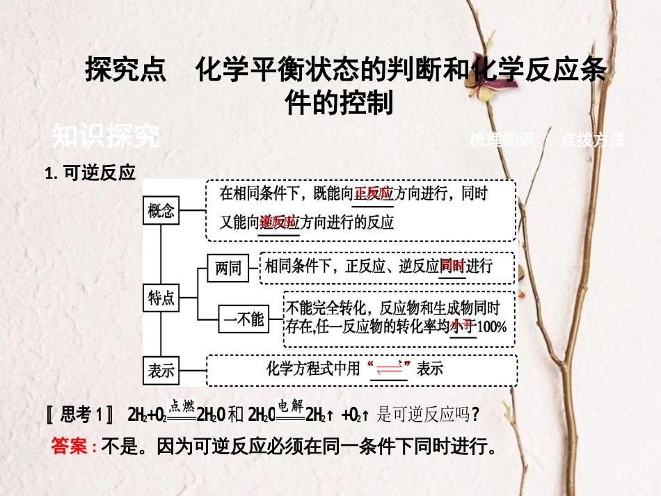 高中化学 第二章 化学反应与能量 第三节 化学反应的速率和限度 第2课时 化学反应的限度和化学反应条件的控制课件 新人教版必修2_第3页